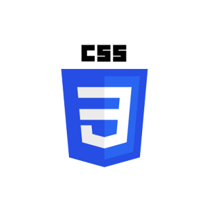 css3